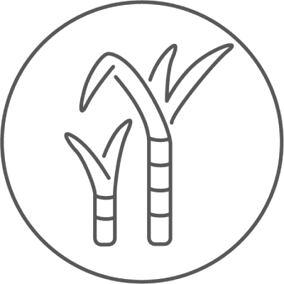 2022AW PlaX | MARLMARL