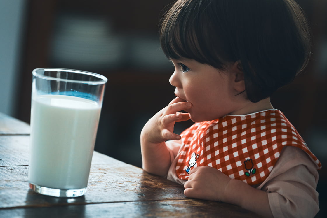 scallop bib / Hello Kitty