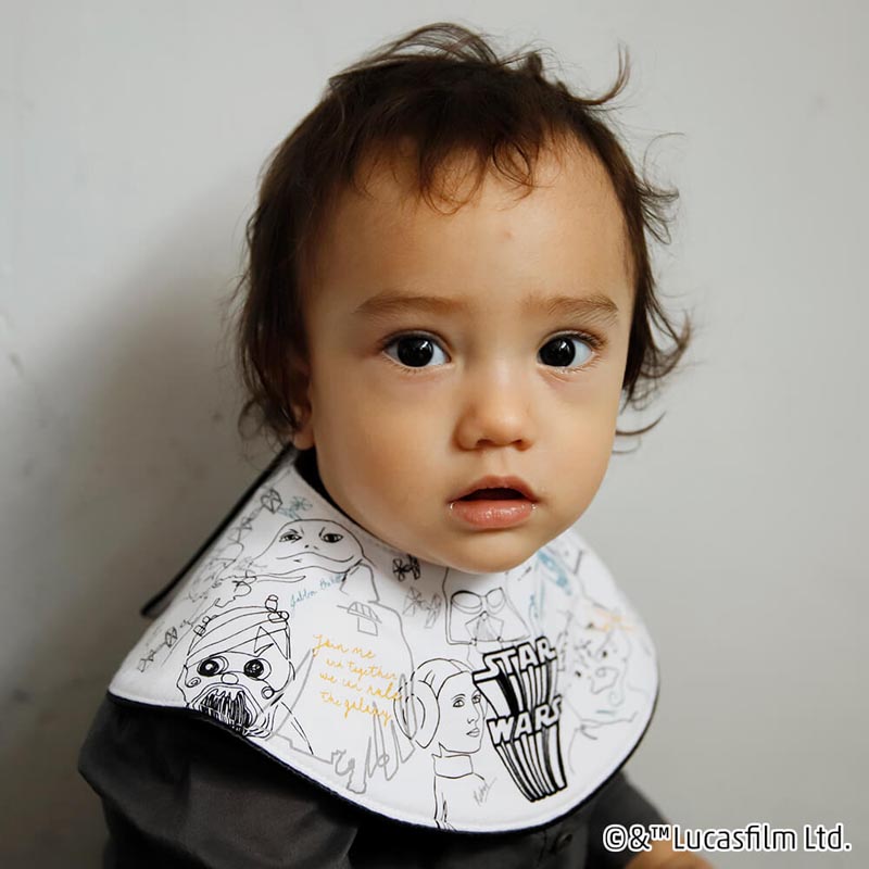 STAR WARS 2 bib/Galactic Civil War