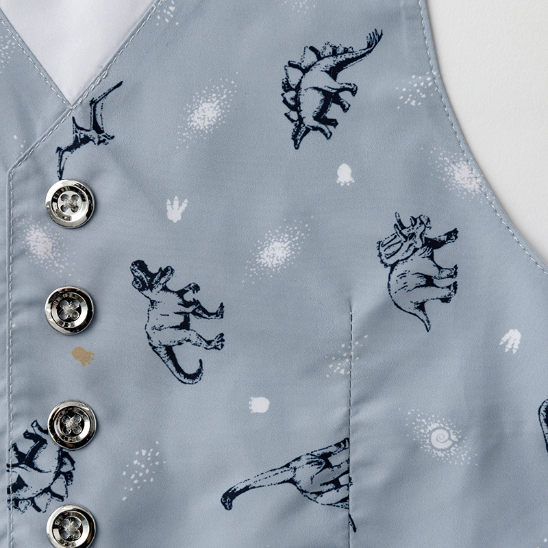 garcon 5 dinosaurs | ギフト・スタイ・出産祝いのMARLMARL（マール