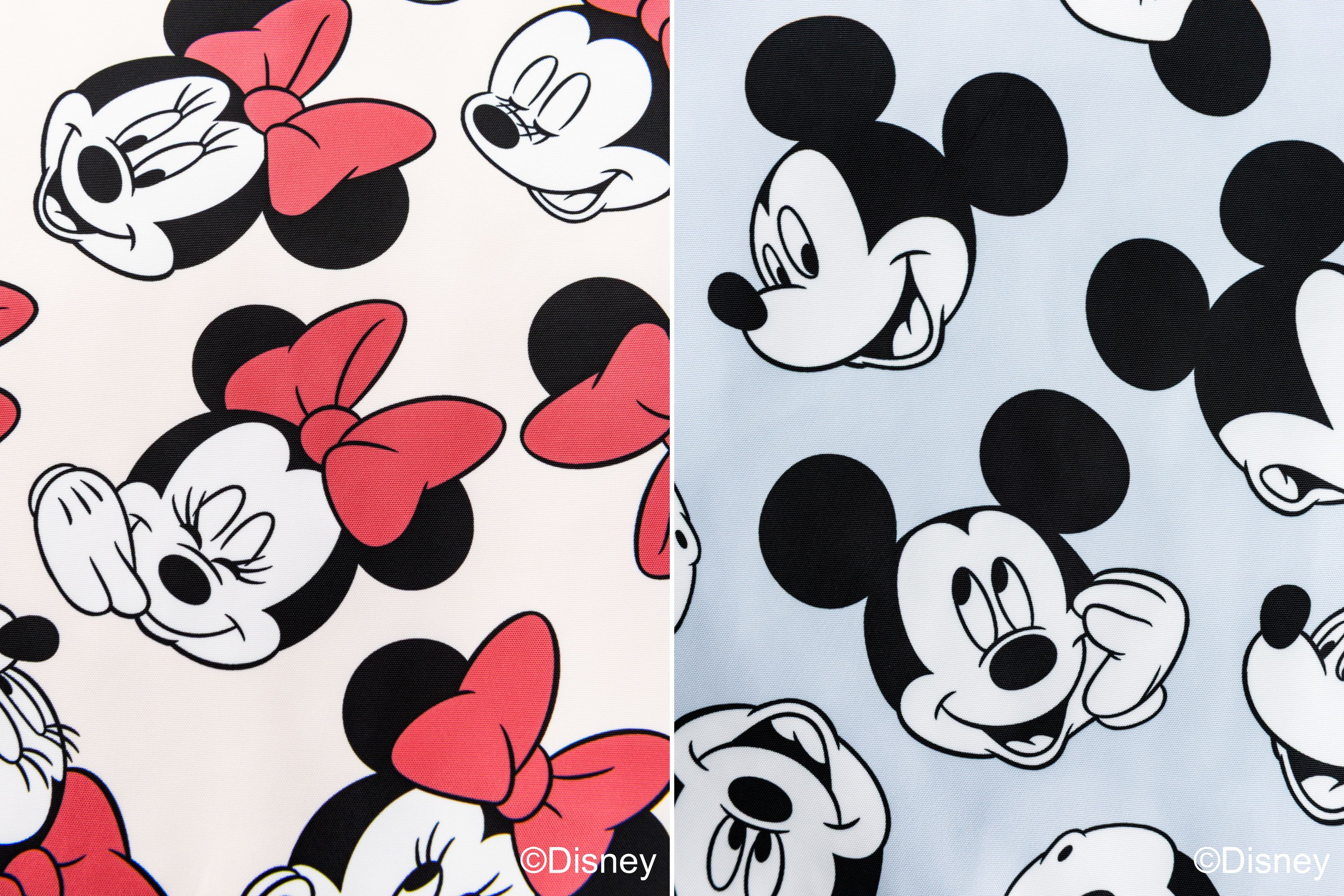 【オンライン販売開始】Minnie & Mickey School goods